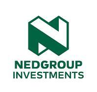 Logo nedgroup investments