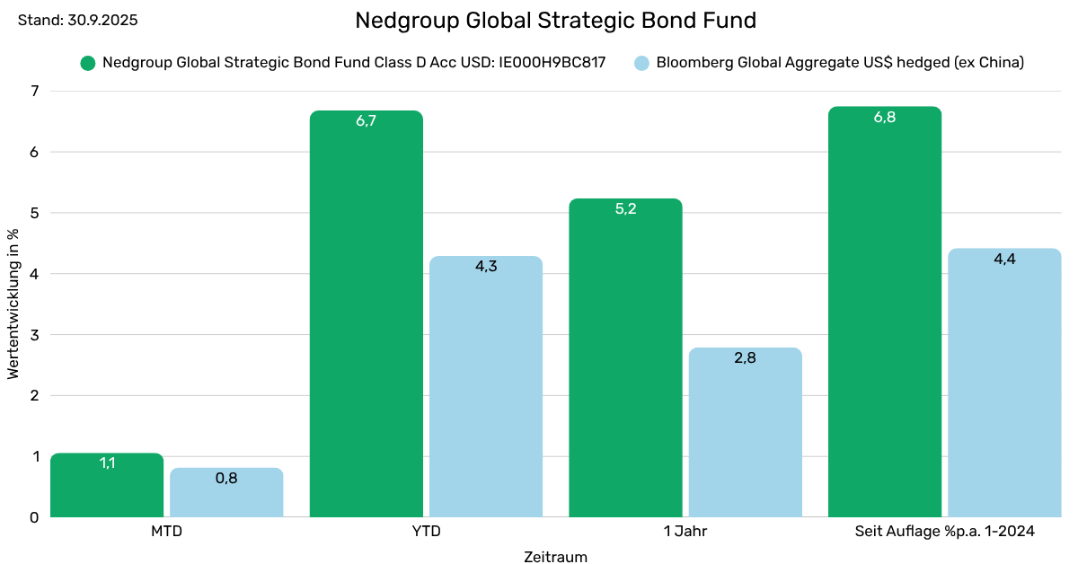 Nedgroup Performance - Tabelle historische Performance  (Facebook-Werbeanzeige) (3)